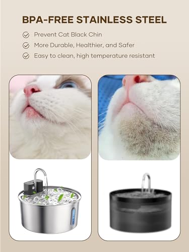 Wireless Cat Fountain 10 Filters