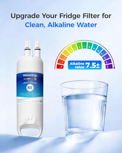 W10295370A Refrigerator Water Filter