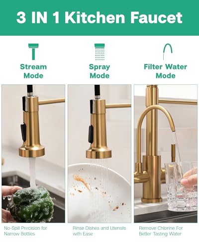 3 in 1 Kitchen Faucet with Pull Down Sprayer Brushed Gold