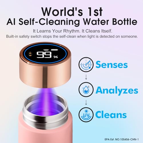 S1 Lite 15oz Insulated Stainless Steel Self
