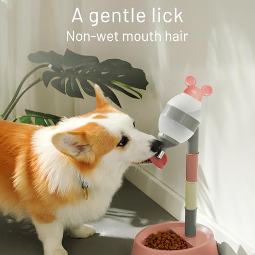 Pet Standing Water Dispenser