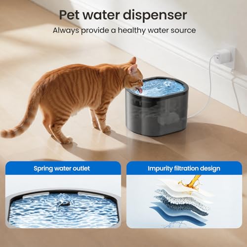 Automatic Cat Feeder and Water Fountain 2