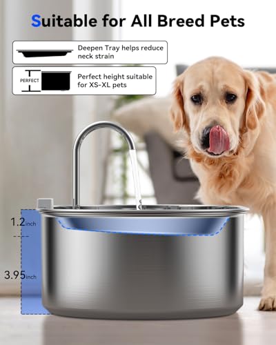 3.4Gal Dog Water Fountain for Large Dogs