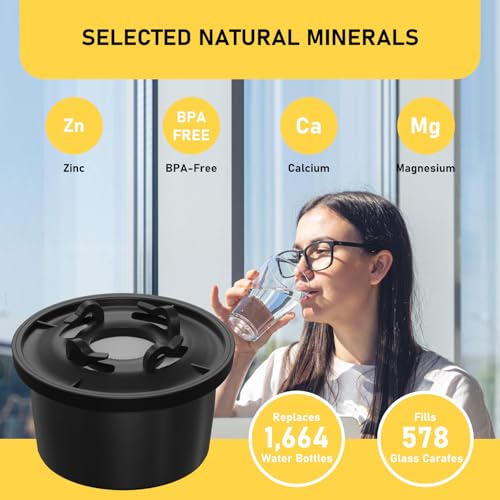 RO100ROPOT Remineralization Water Filters Replacement (2 Count)