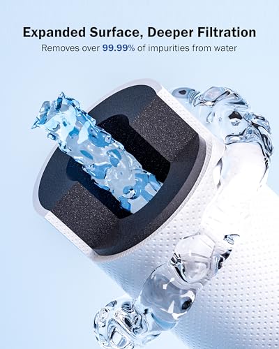 DS10 Under Sink Water Filter System