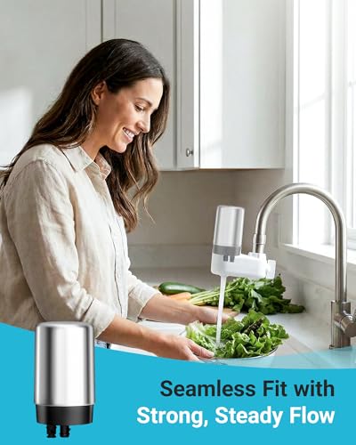 Faucet Filter Compatible with Brita® Faucet (2 Count)