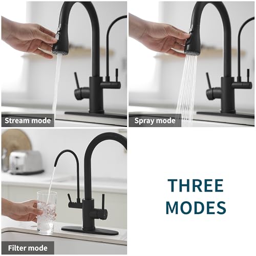 Black Kitchen Faucets with Water Filter and Pull Down Sprayer