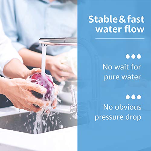 F 201R Water Filter Replacement for InSinkErator® F (2 Count)