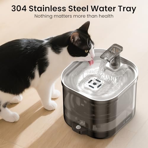 Wireless Cat Water Fountain Cordless with External Pump