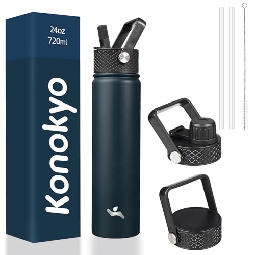 24 oz Insulated Stainless Steel Water Bottle with Straw Lid