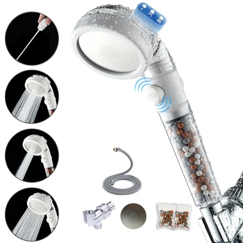 Filtered Shower Head with Handheld