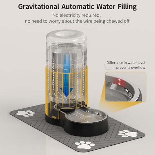 Cat Water Dispenser with Placemat & Stainless Steel Bowl