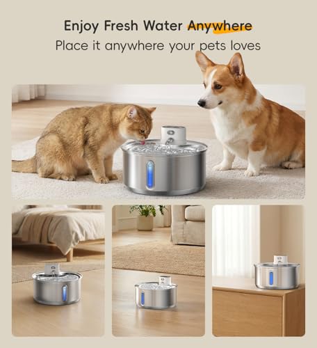 Stainless Steel Cat Water Fountain