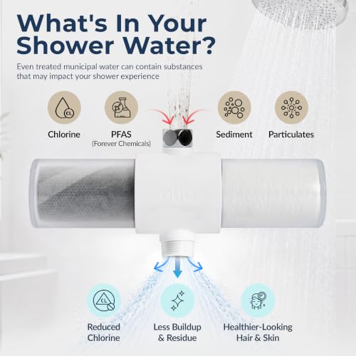 Duo Shower Head Filter