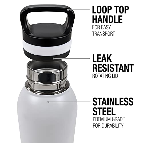 Harry Potter Vacuum Insulated Stainless Steel with Loop Cap
