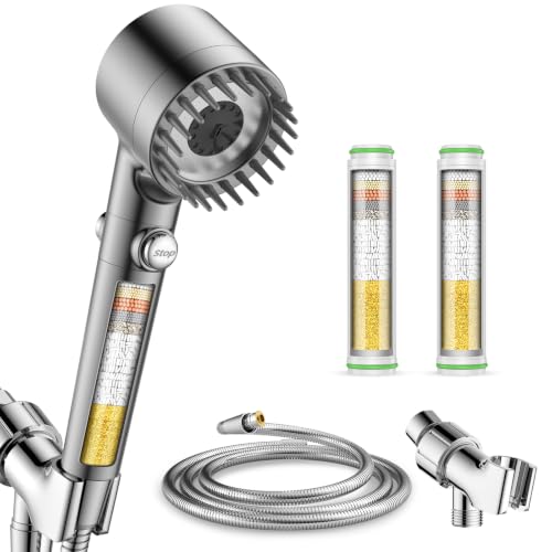 Filtered Shower Head with Handheld 2PCS Filters ShowerHead