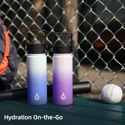 22oz Insulated Water Bottle with Straw Lid
