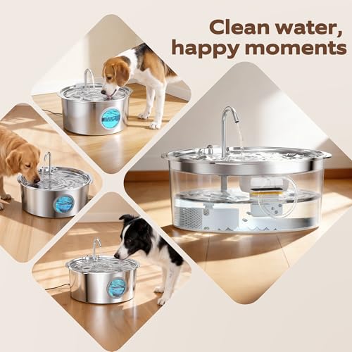 Dog Water Fountain Filters