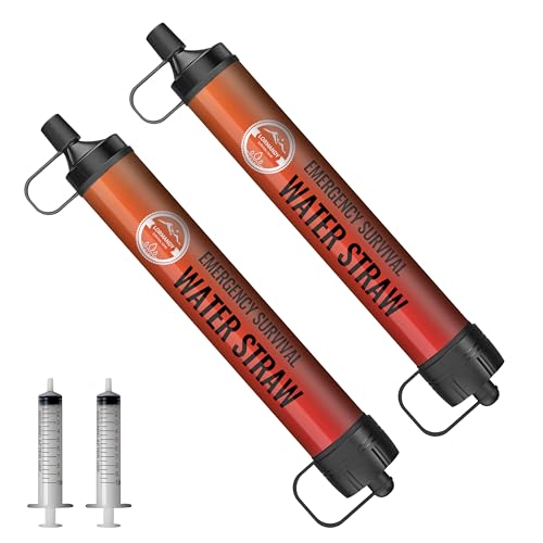 Water Filter Straw (2 Count)