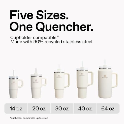 Quencher H2.0 Tumbler with Handle and Straw 14 oz