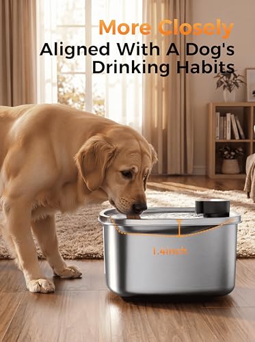 10L Wireless Dog Water Fountain for Large Dogs