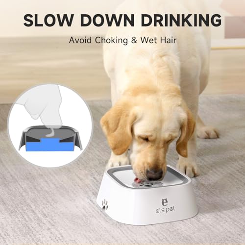 White 35oz 1L No Spill Dog Cat Bowl Anti Slip Travel Dispenser