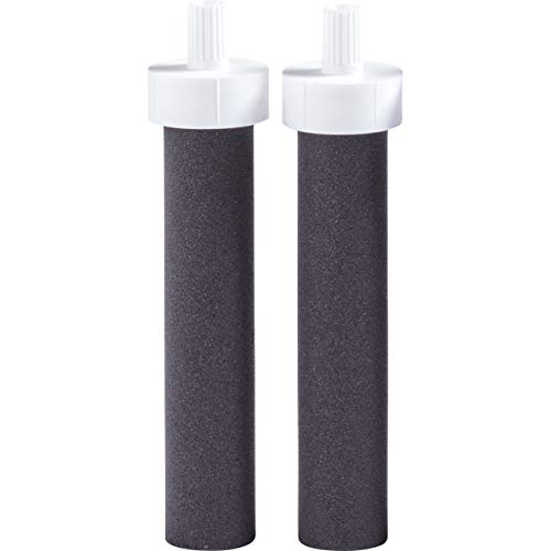 Water Bottle Filter Replacements (2 Count)