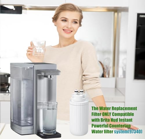 CTO1 Water Filter Replacement (2 Count)