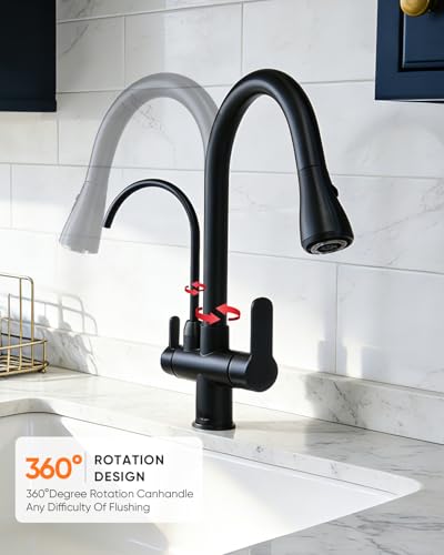 Kitchen Faucet with Water Filter Spout