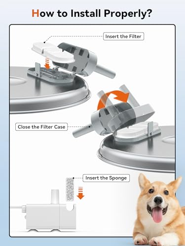 3.4Gal Dog Water Fountain for Large Dogs (6 Count)
