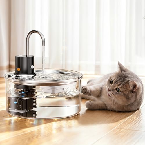 Wireless Glass Cat Water Fountain