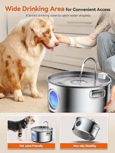 Dog Water Fountain for Large Dogs