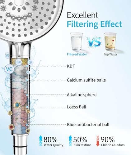 Filtered Shower Head with Handheld