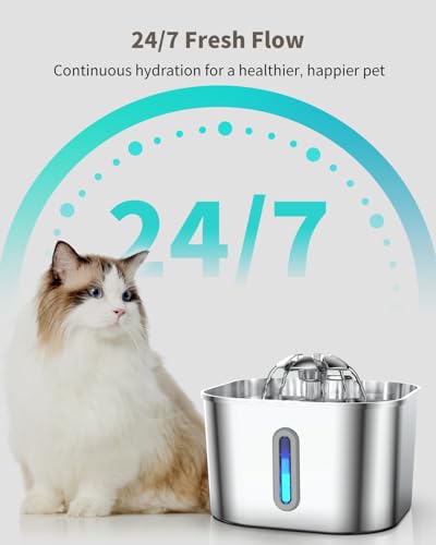 Stainless Steel Cat Water Fountain