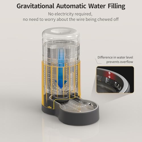 Cat Water Dispenser and Stainless Steel Bowl