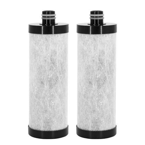 Carbon Shower Head Filter
