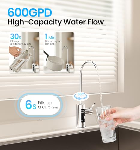 Reverse Osmosis System