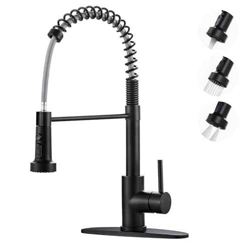 Kitchen Faucets with Pull Down Sprayer