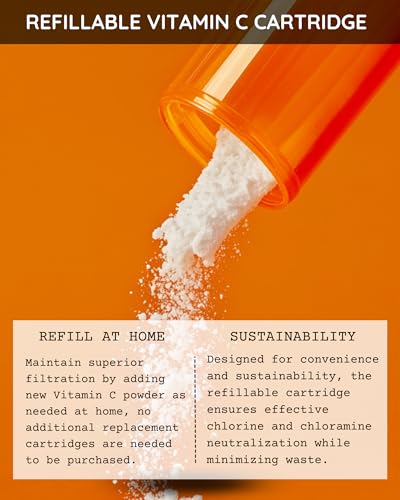 Vitamin C Handheld Shower Head
