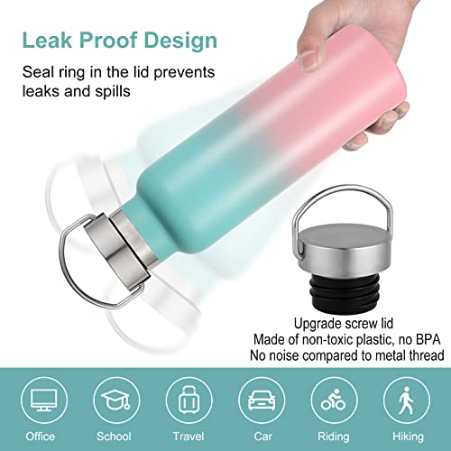 20 oz Insulated Water Bottles Bulk 2 Pack (2 Count)