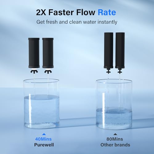 PF-3 Black 3-Stage Composite Purification Elements, Replacement Filters for ProOne® and Berlkey® Filters, ProOne® or Berlkey® Big+ Water Filter System and Purewell System (2 Pack, K Series) (2 Count)