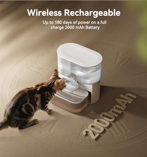 Wireless Cat Water Fountain No Filters