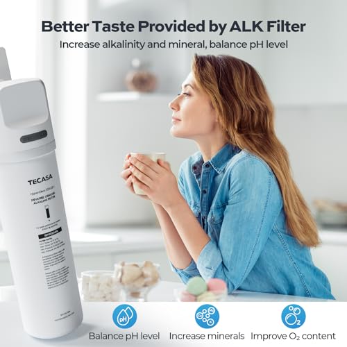 Tankless Reverse Osmosis System with Auto