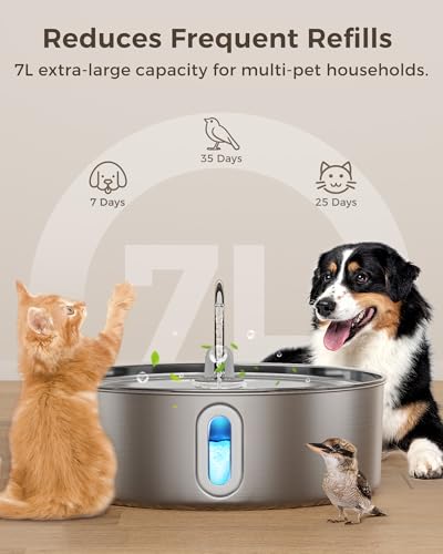 7L 236oz Stainless Steel Dog Water Fountain for Large Dogs