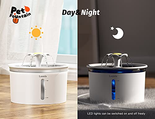 Cat Water Fountain