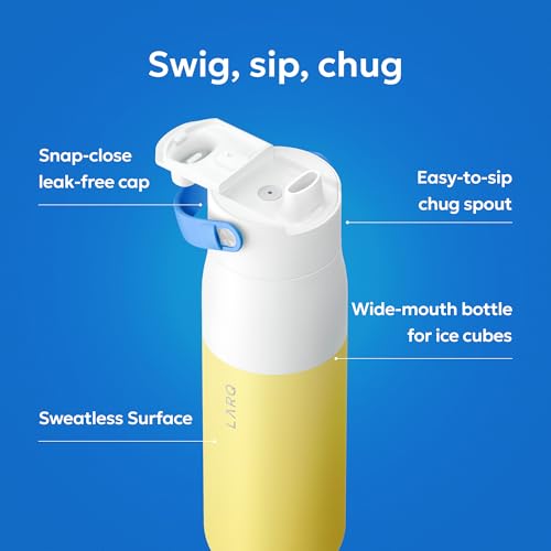 Swig Top Insulated Stainless Steel Water Bottle with Straw and Handle