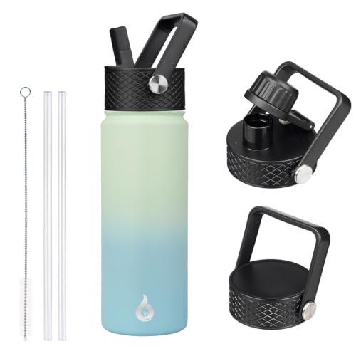 22oz Insulated Water Bottle with Straw Lid