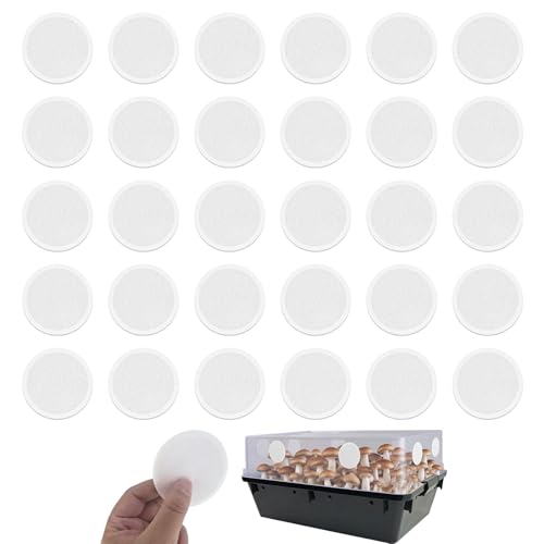 Monotub Adhesive Filter Disks