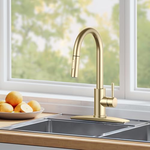 Gold Kitchen Faucet with Pull Down Sprayer