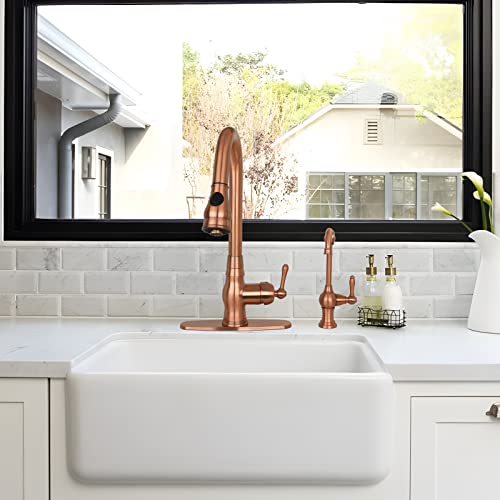 Kitchen Water Filter Faucet
